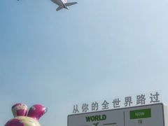 -空港花田景区