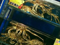 -蚝专家(北滘店)