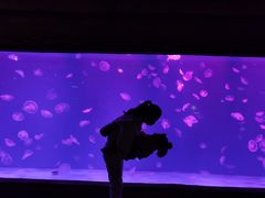 -华夏文旅西安度假区