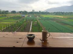 -翠田Green Field Kitchen