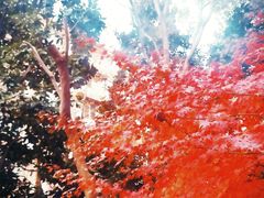 -华山儿童公园