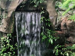 -南山植物园