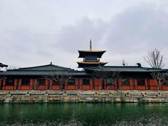 -广富林郊野公园