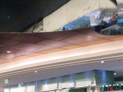 -339旋转餐厅(天府熊猫塔店)