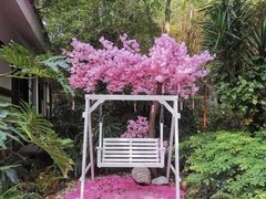 -嘉和K6温泉微度假