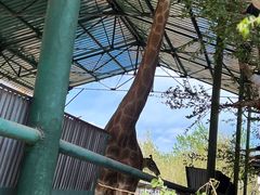 -秦皇岛野生动物园