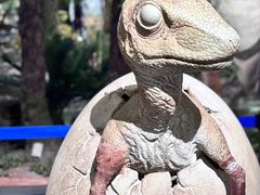 -湖南省地质博物馆