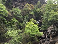 -黎坪国家森林公园