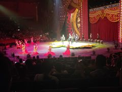 -珠海横琴长隆《卡卡虎奇遇记》