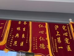 -顺强宠物诊所·狂犬免疫·夜诊·骨科(嘉定店)
