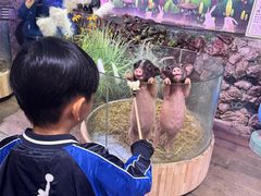 -正佳雨林生态植物园