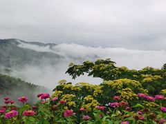 -丹山赤水风景名胜区