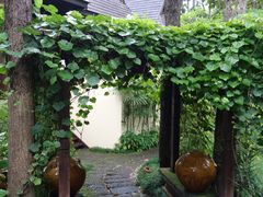 -四季酒店下午茶