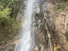 -姑婆山旅游区