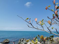 -三亚西岛海洋文化旅游区