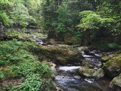 -龙苍沟森林公园