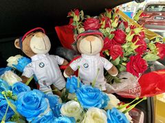 -南充通源宝马4S店(高坪店)