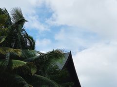 -三亚湾红树林度假世界(木棉酒店)