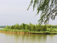 -野鸭湖国家湿地公园