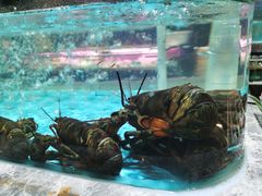 -阿杜打边炉(五江天街店)