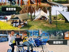 -大湾区中央湿地公园