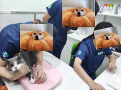 -佳雯宠物医院(金华南路分院)