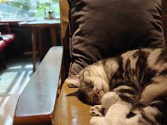 -咖法森林·咖啡  酒吧(天河店)