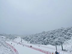 -太子岭滑雪场