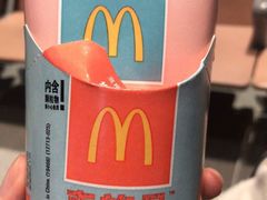 -麦当劳(禄口机场T2航站楼)