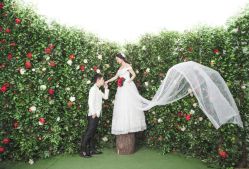 -韩国艺匠ARTIZ STUDIO(博览中心店)