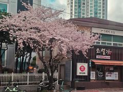 -海云台海滩