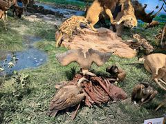 -国家自然博物馆