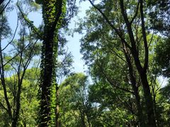 -碓臼峪自然风景区