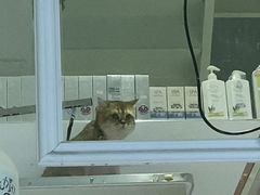 -可蒙动物医院·猫科·骨科中心(首义路店)