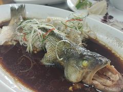 -大草原清真饭庄(沙河店)
