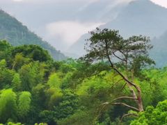 -龙湾潭国家森林公园