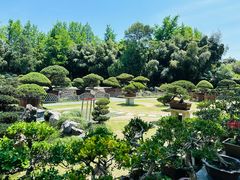 -水绘园