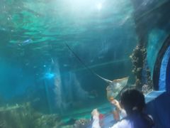 -嘉兴海底世界
