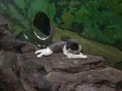 -台州海洋世界
