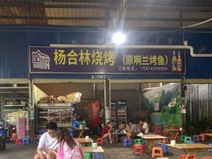 -杨合林啊兰烤鱼