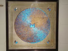 -上海昆虫博物馆