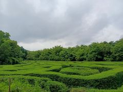 -大屏嶂森林公园