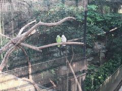 -九龙公园