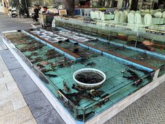 -景好海鲜餐厅(大鹏必选旅游店)