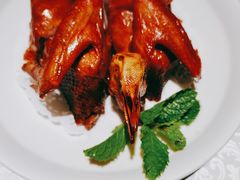 招牌肉松乳鸽-维园悦谱·海派家常菜(乌鲁木齐南路店)