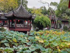 -上海醉白池公园
