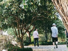 -杭州半山国家森林公园