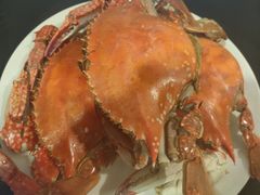 -朝郡酒家·粤菜(燕大星苑店)