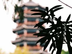 -桂林两江四湖景区
