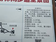 -大岭沟猕猴桃谷风景区